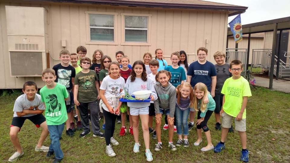 Ridgeview High / Homepage